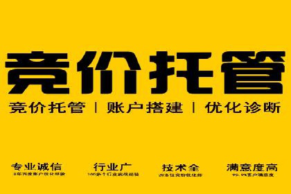成功案例：竞价推广助力企业实现品牌多元化